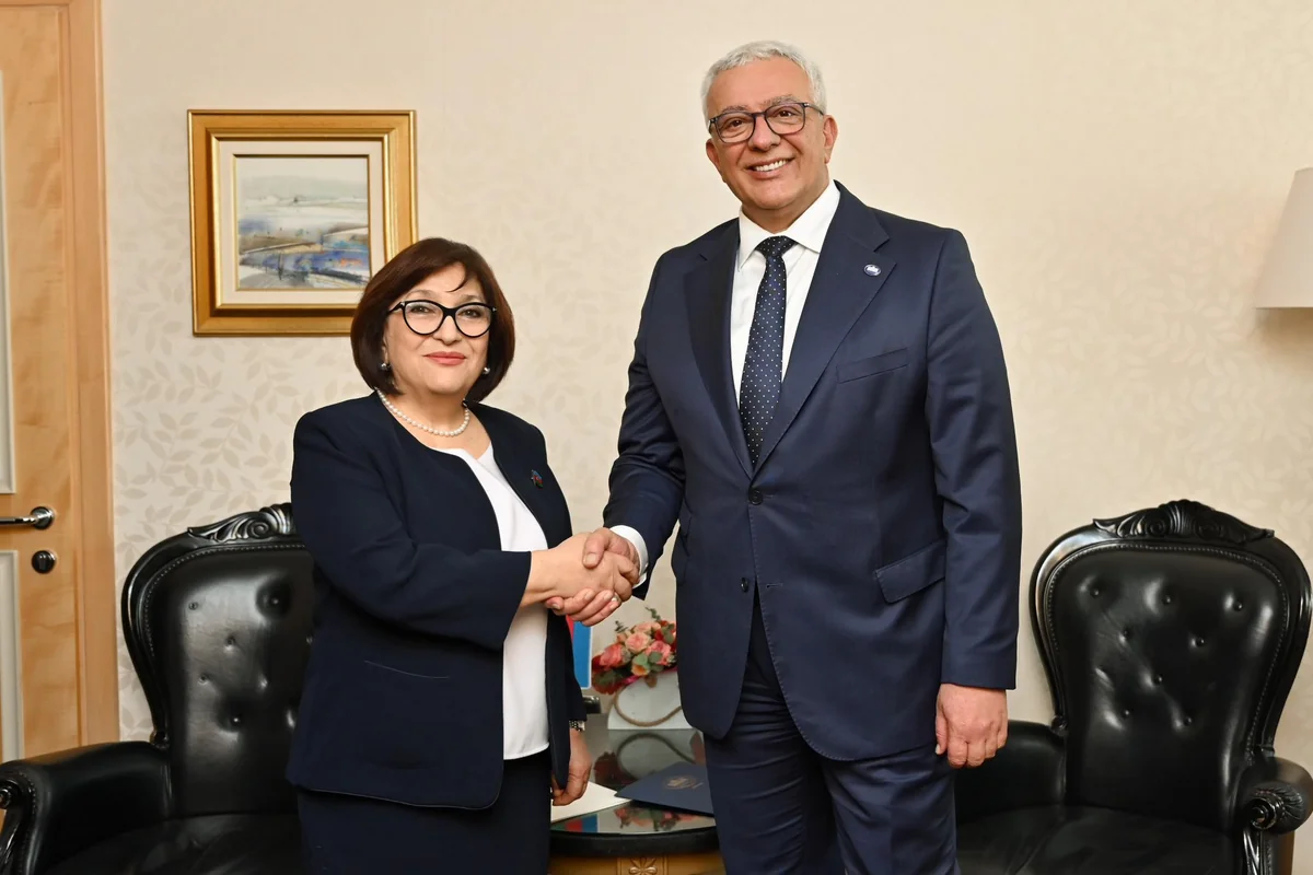 Azərbaycan və Monteneqro parlament sədrlərinin görüşü olub