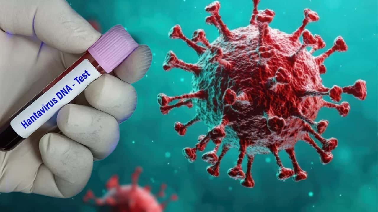     Fransada hantavirus infeksiyası təsdiqlənib