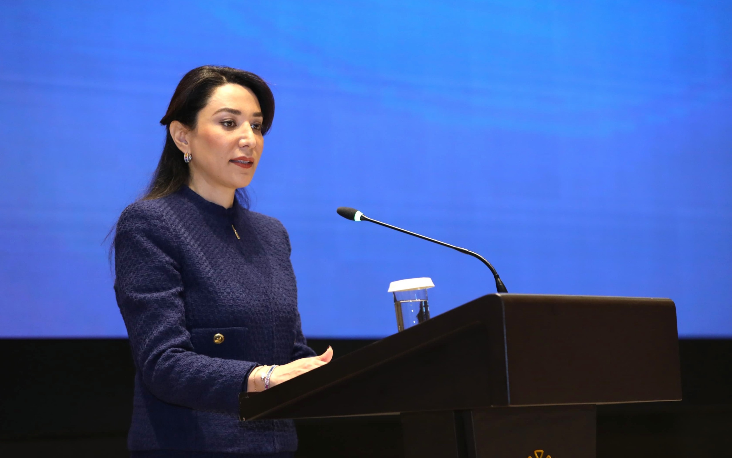     Cəmiyyətə inteqrasiya sahəsində həyata keçirilən tədbirlər vurğulanıb