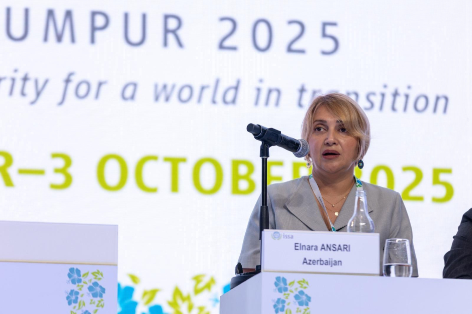     Elnara Ansari sosial müdafiə siyasəti ilə bağlı açıqlama verib