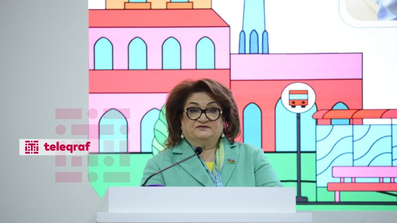 Hicran Hüseynova problemlərin həlli üçün prioritet yanaşmadan danışıb