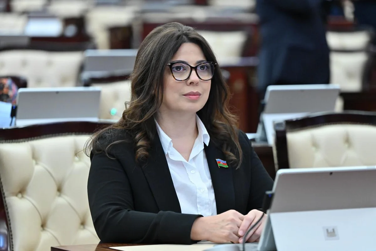     Azad edilmiş ərazilərdə minaların mövcudluğu bərpa prosesini çətinləşdirir